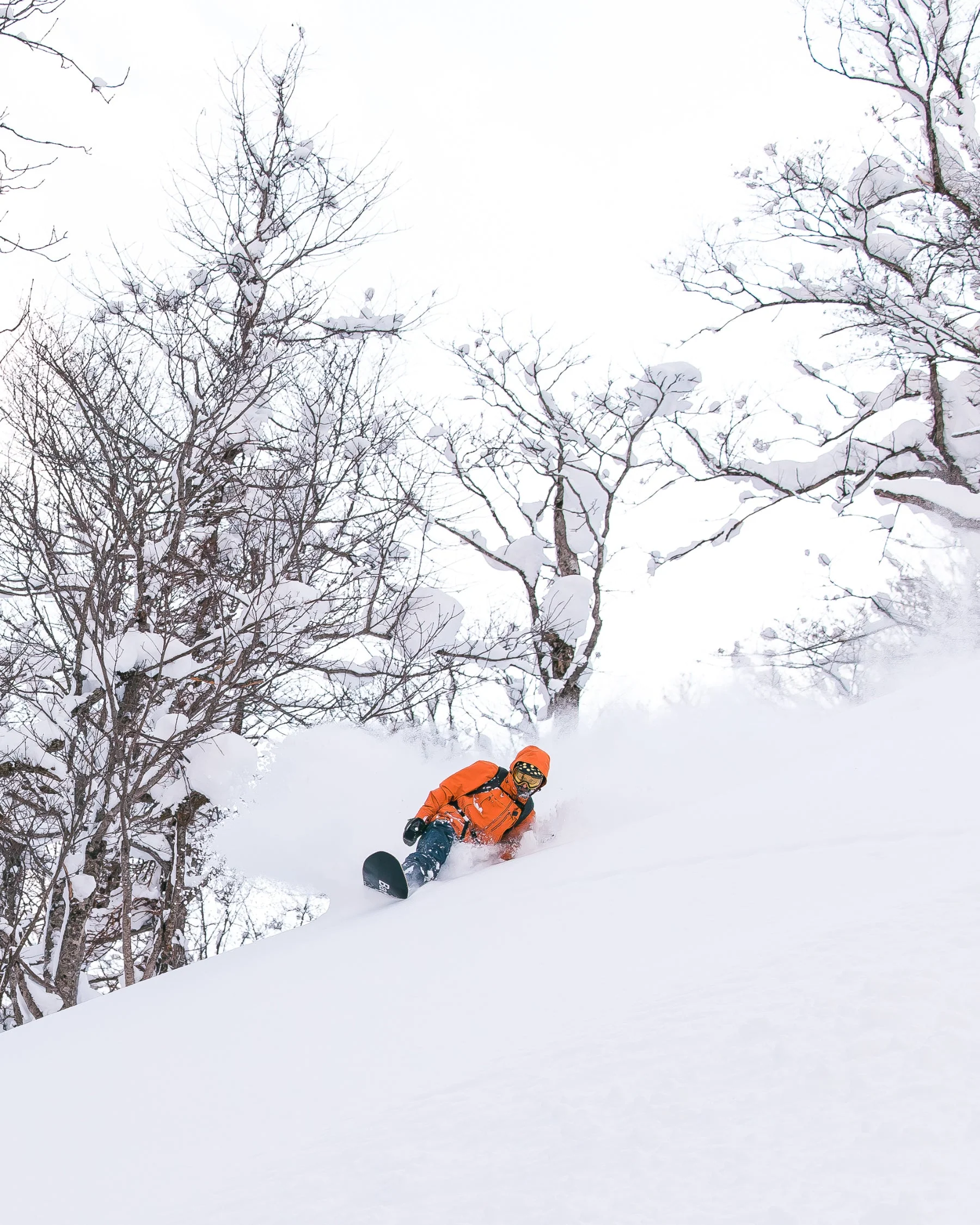 Surfer - Image 5